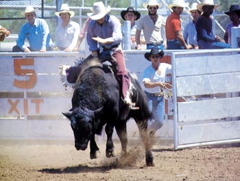 The  XIT Rodeo 