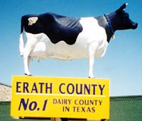 Moola the Cow - Erath Number One Dairy County in Texas